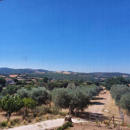 Apartmán Fattoria La Campigliola Exteriér fotografie